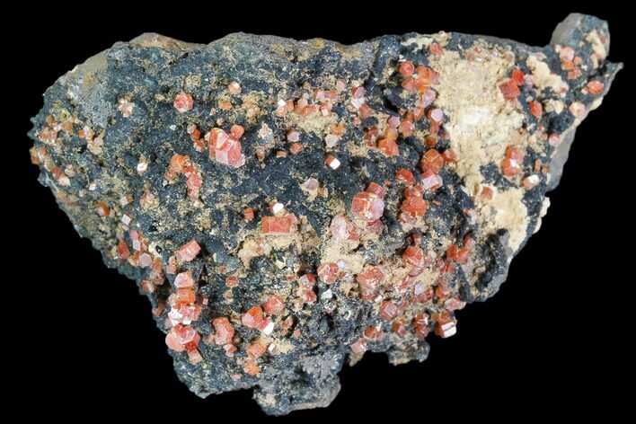 Red Vanadinite Crystals On Manganese Oxide - Morocco #103585